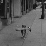 Куклы, манекены, марионетки на старинных  и современных фотографиях.