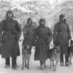 Неизвестная война. Собаки Победы...