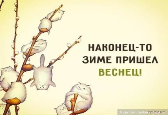 Приходит время — 8 Марта: поздравления (фото 3)