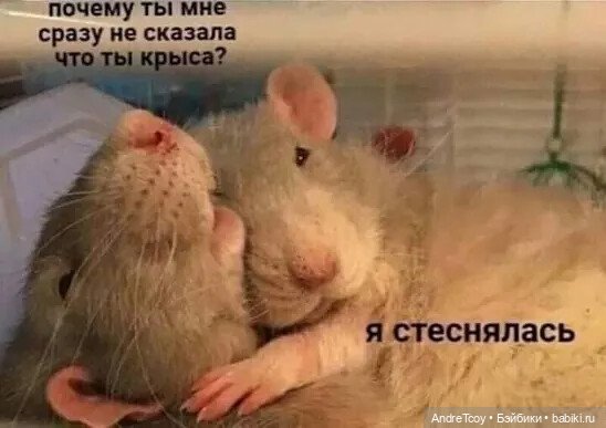 Приходит время — 8 Марта: поздравления