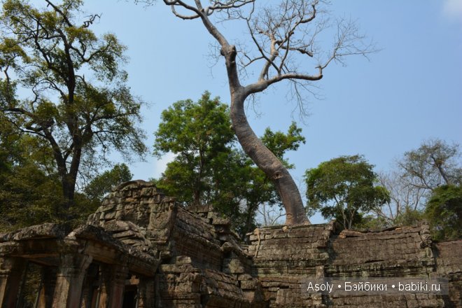 Путешествие в Тайланд — Куклы Fairyland (ФэйриЛэнд): BJD (БЖД)