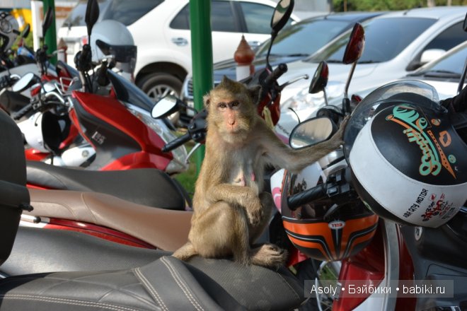 Путешествие в Тайланд — Куклы Fairyland (ФэйриЛэнд): BJD (БЖД)