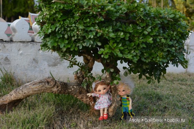 Путешествие в Тайланд — Куклы Fairyland (ФэйриЛэнд): BJD (БЖД)