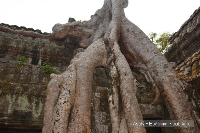 Путешествие в Тайланд — Куклы Fairyland (ФэйриЛэнд): BJD (БЖД)
