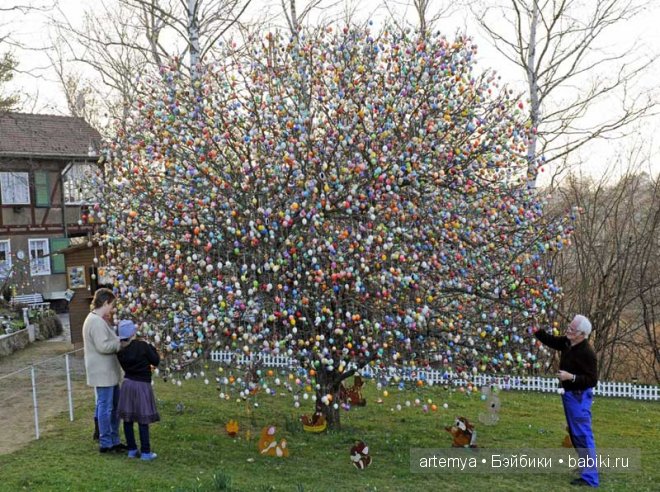 Пасхальное дерево — Интересное и необычное: фотоподборки