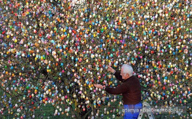 Пасхальное дерево — Интересное и необычное: фотоподборки (фото 9)