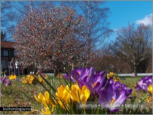 Пасхальное дерево — Интересное и необычное: фотоподборки