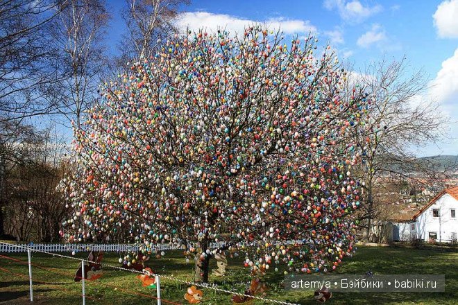 Пасхальное дерево — Интересное и необычное: фотоподборки (фото 10)