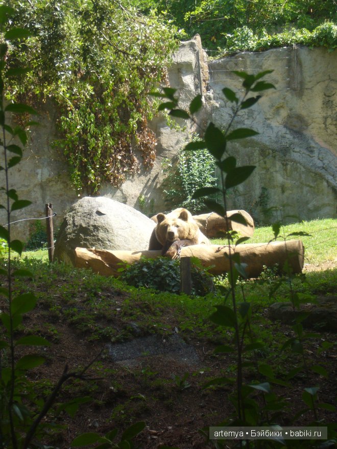 Все дороги ведут в Рим... Часть 4, заключительная. Зоопарк