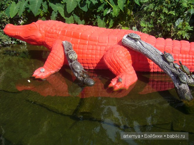 Все дороги ведут в Рим... Часть 4, заключительная. Зоопарк (фото 7)