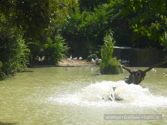 Все дороги ведут в Рим... Часть 4, заключительная. Зоопарк