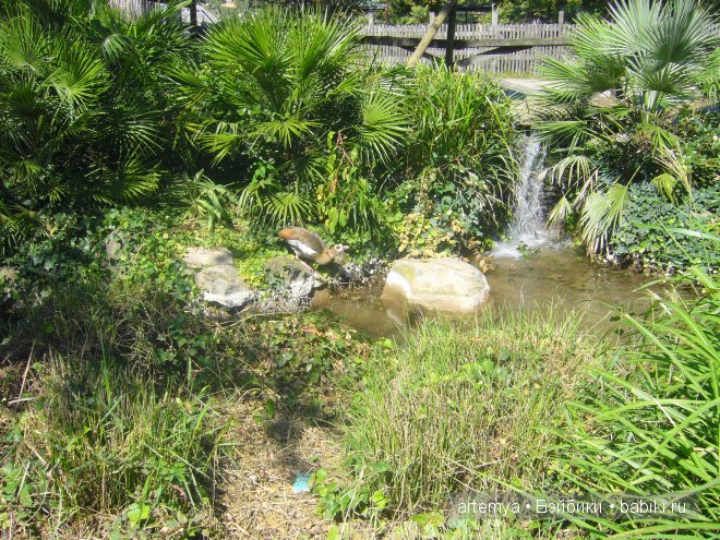 Все дороги ведут в Рим... Часть 4, заключительная. Зоопарк