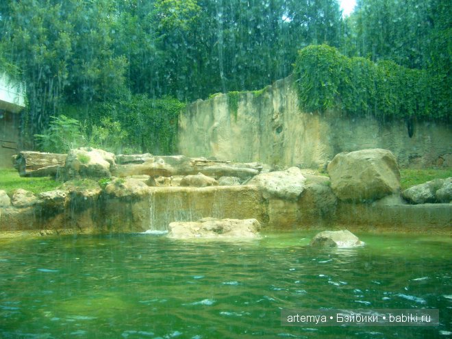 Все дороги ведут в Рим... Часть 4, заключительная. Зоопарк