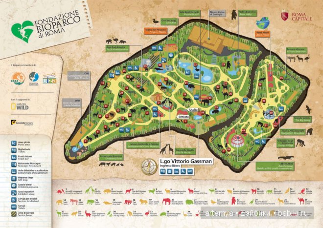 Все дороги ведут в Рим... Часть 4, заключительная. Зоопарк