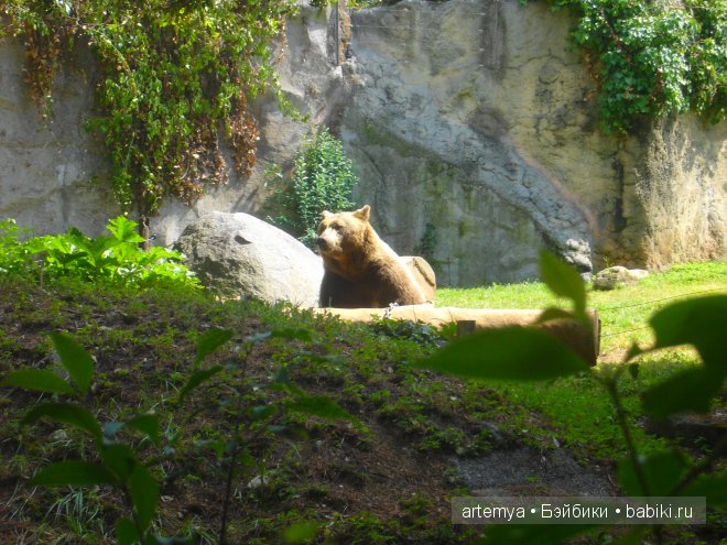 Все дороги ведут в Рим... Часть 4, заключительная. Зоопарк