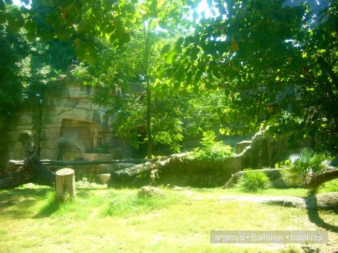 Все дороги ведут в Рим... Часть 4, заключительная. Зоопарк