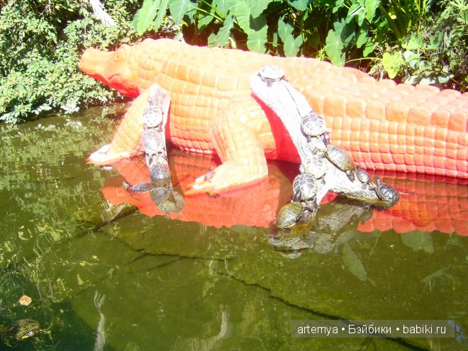 Все дороги ведут в Рим... Часть 4, заключительная. Зоопарк (фото 3)