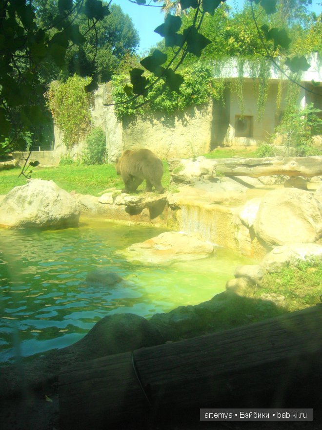 Все дороги ведут в Рим... Часть 4, заключительная. Зоопарк