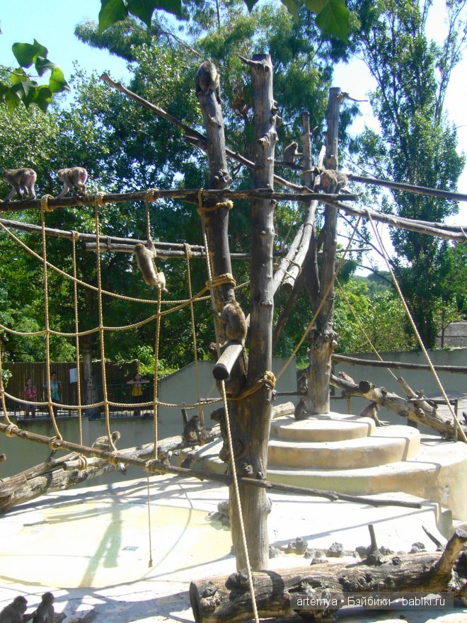 Все дороги ведут в Рим... Часть 4, заключительная. Зоопарк