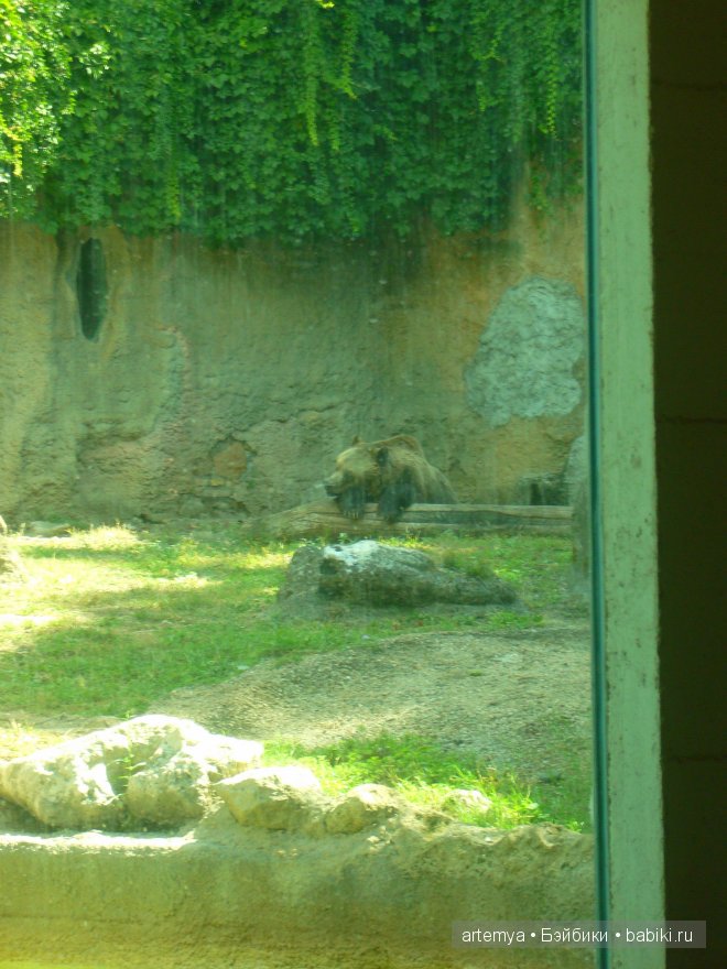 Все дороги ведут в Рим... Часть 4, заключительная. Зоопарк