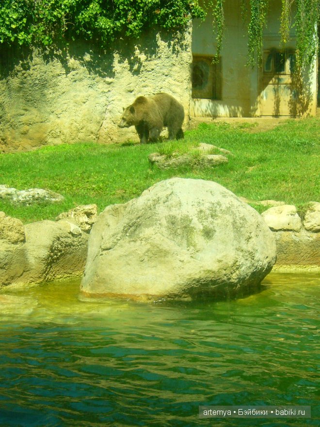 Все дороги ведут в Рим... Часть 4, заключительная. Зоопарк