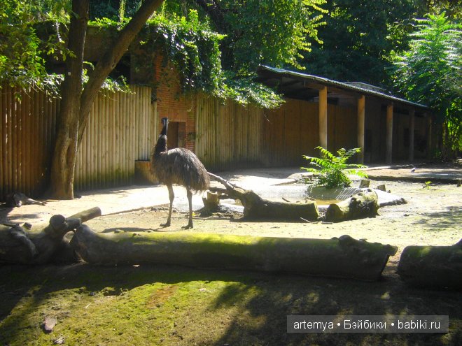 Все дороги ведут в Рим... Часть 4, заключительная. Зоопарк