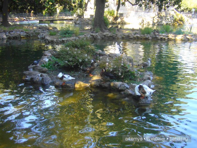 Все дороги ведут в Рим... Часть 4, заключительная. Зоопарк