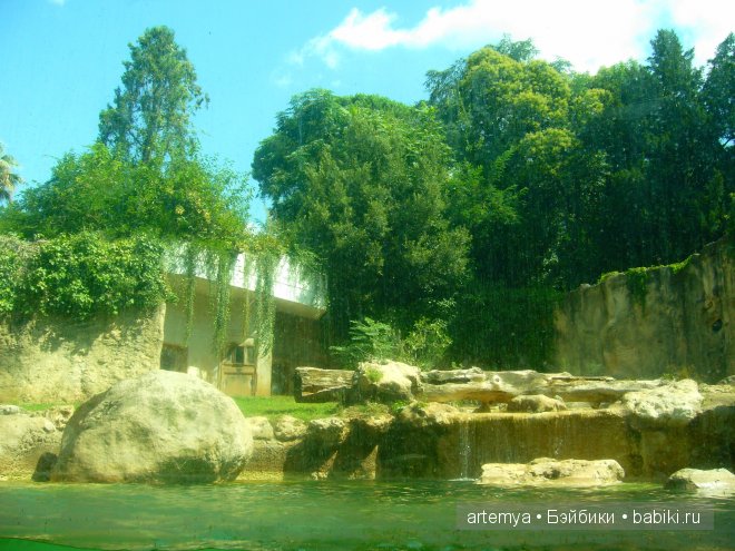 Все дороги ведут в Рим... Часть 4, заключительная. Зоопарк