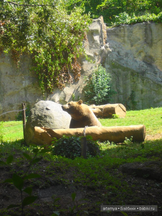 Все дороги ведут в Рим... Часть 4, заключительная. Зоопарк