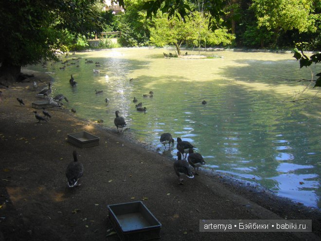 Все дороги ведут в Рим... Часть 4, заключительная. Зоопарк