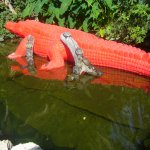 Все дороги ведут в Рим... Часть 4, заключительная. Зоопарк.