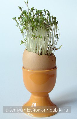 Как вы готовитесь к празднику