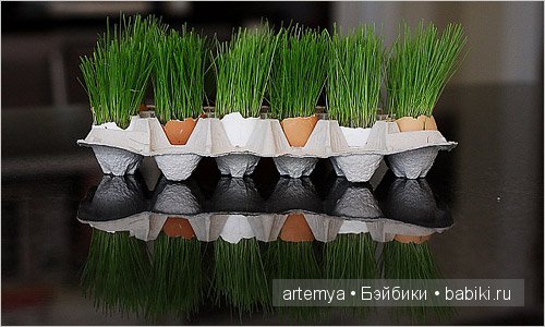 Как вы готовитесь к празднику