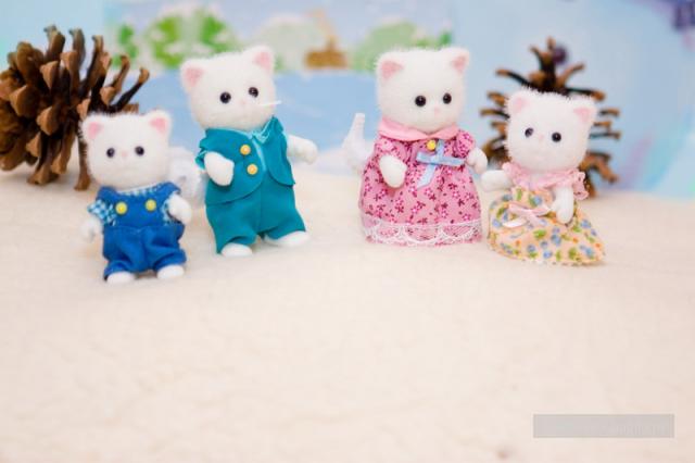 Волшебный мир Sylvanian Families