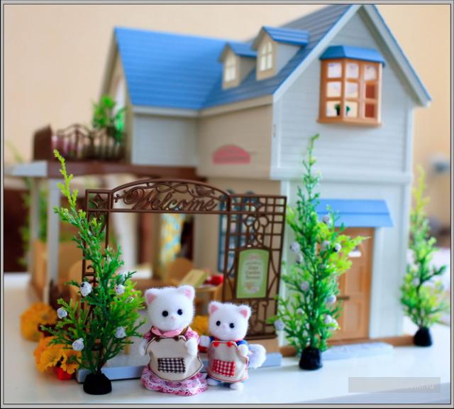 Волшебный мир Sylvanian Families