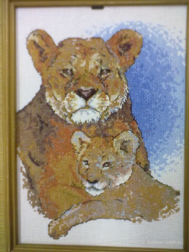 Мои увлечения — Другие хобби и увлечения: сад (фото 5)