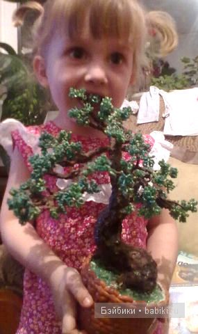 Мои увлечения — Другие хобби и увлечения: сад (фото 9)
