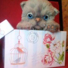 Котик Сёма