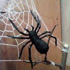 В паутине страха