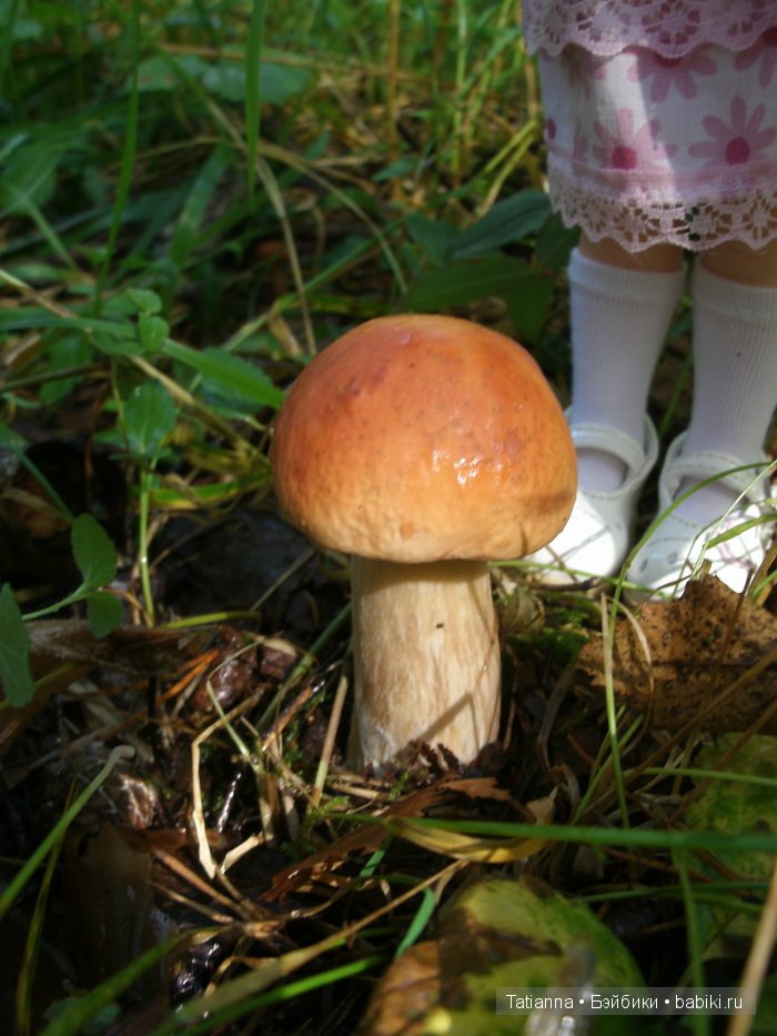 Турция? Египет? Липовка! Кукла Бонни, Иплхаус