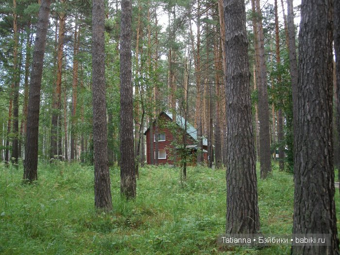 Турция? Египет? Липовка! Кукла Бонни, Иплхаус (фото 4)