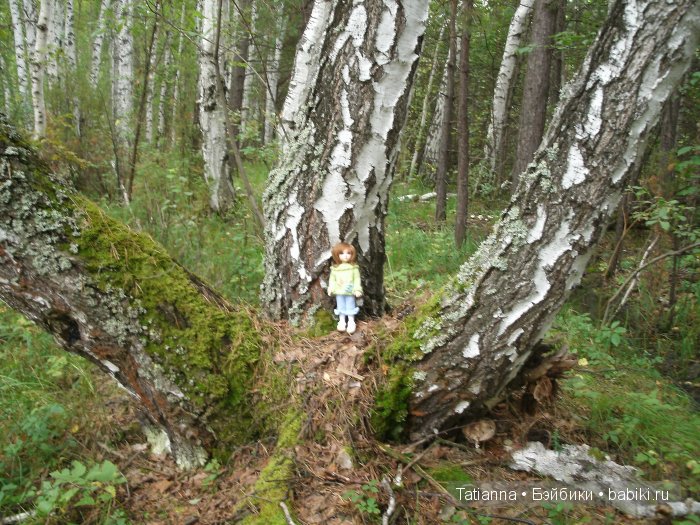 Турция? Египет? Липовка! Кукла Бонни, Иплхаус