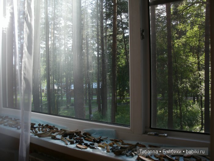 Турция? Египет? Липовка! Кукла Бонни, Иплхаус