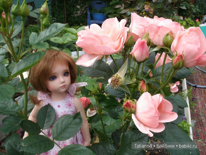 Турция? Египет? Липовка! Кукла Бонни, Иплхаус