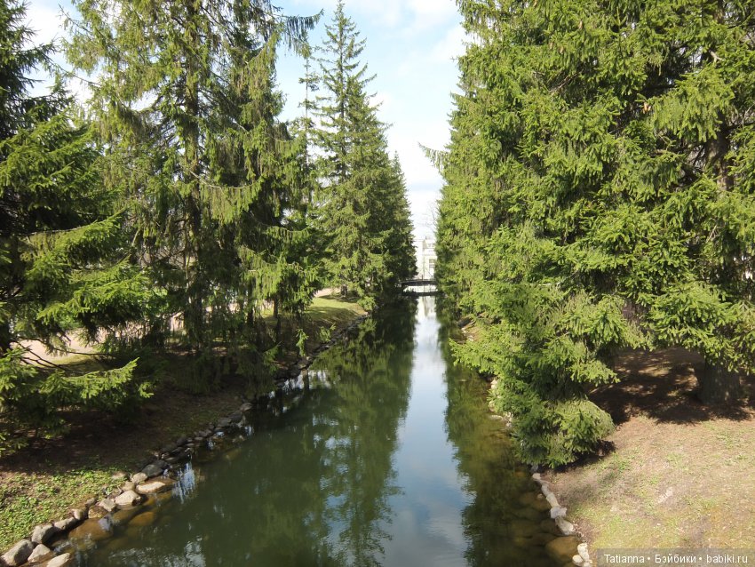 С любовью к Петербургу. К вам за советом