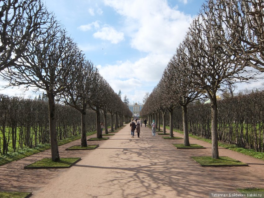 С любовью к Петербургу. К вам за советом