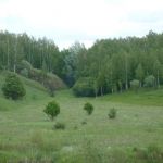 Сердце Соловьиного края