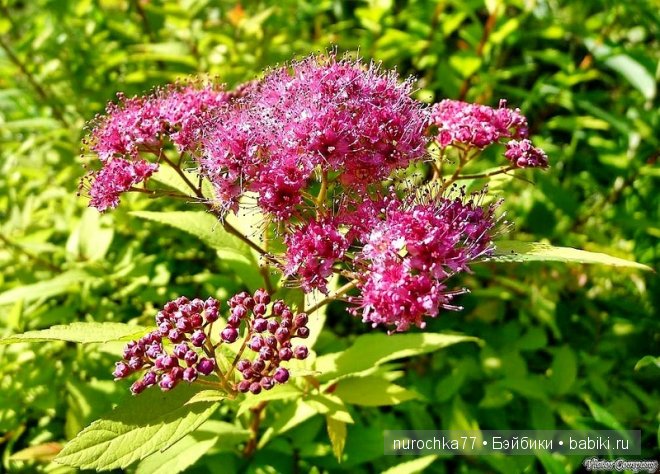 Незаметно пролетел год.. Моё семейство кукол (фото 9)