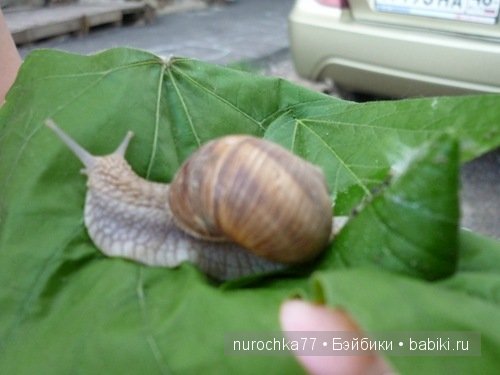 Ягода - малина... в лес меня манила... Одежда для кукол Galoob Baby Face