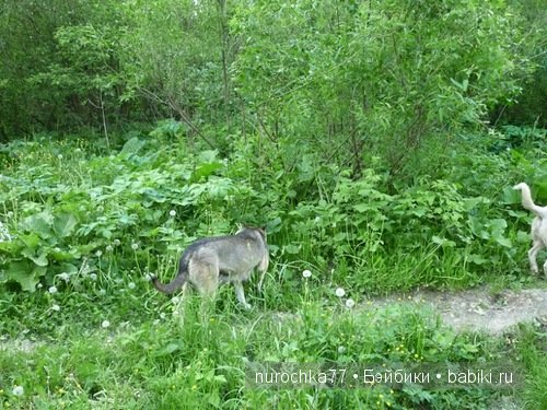 Ягода - малина... в лес меня манила... Одежда для кукол Galoob Baby Face (фото 10)